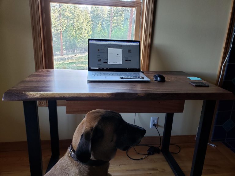 Live Edge Desk with U Shaped Legs photo review