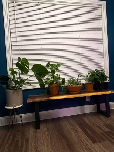 Live Edge Walnut Bench photo review