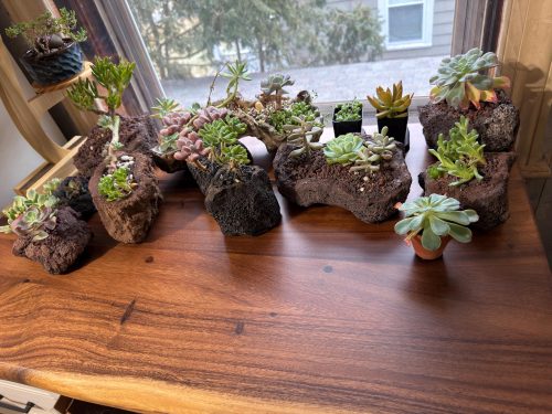 DIY Live Edge Walnut Table Top photo review