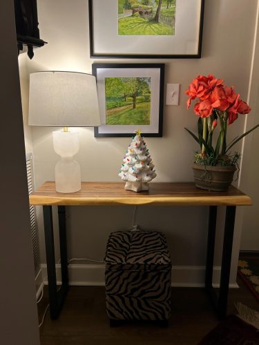 Console Table with U Shaped Legs photo review