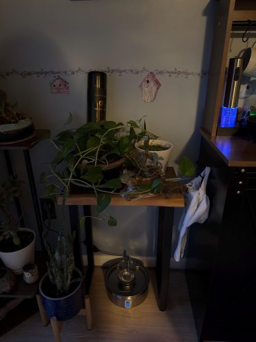 Live Edge End Table photo review